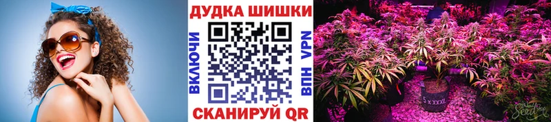 Шишки марихуана марихуана Купить закладки Нефтегорск